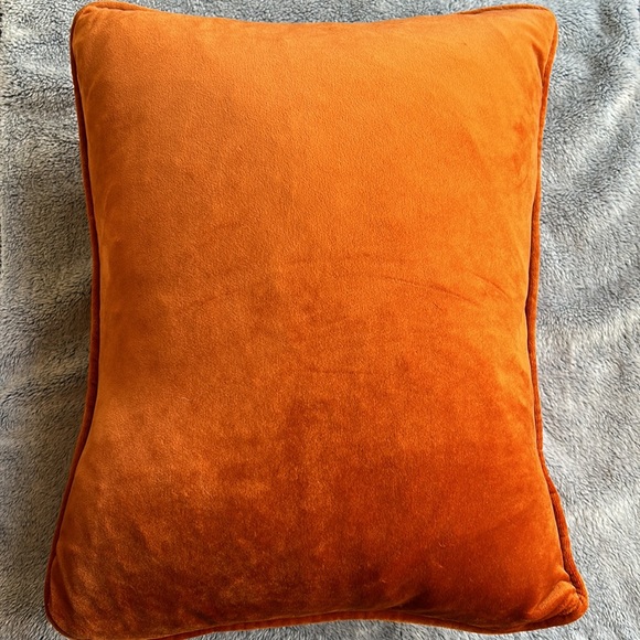 NWOT🌟THANKFUL 18 x 14” Burnt Orange Feather Inspirational Pillow - Picture 5 of 7